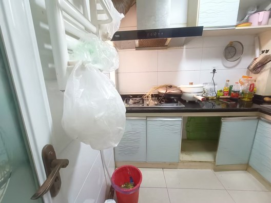 涿州市双塔区粮食局东关小区2室1厅房源信息第4张图片