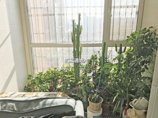 涿州市开发区名流城市尊邸3室2厅房源信息第9张图片