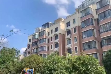 共有产权房可以继承给子女吗