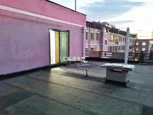 东方家园3室2厅2卫第11张缩略图