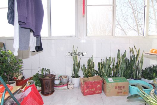 涿州开发区涿州市财政局家属院（诚信小区）3室2厅房源信息第10张图片