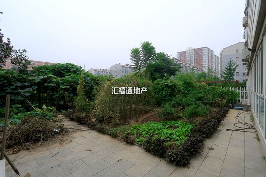 涿州开发区燕赵花园4室2厅房源信息第4张图片