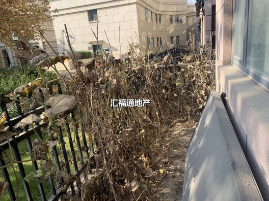 幸福嘉园2室2厅1卫第9张缩略图