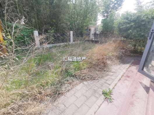 温莎别墅6室2厅3卫第23张缩略图