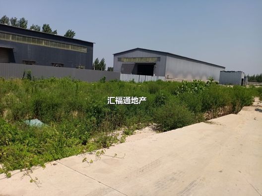 刁窝商铺底商0室0厅0卫第4张缩略图