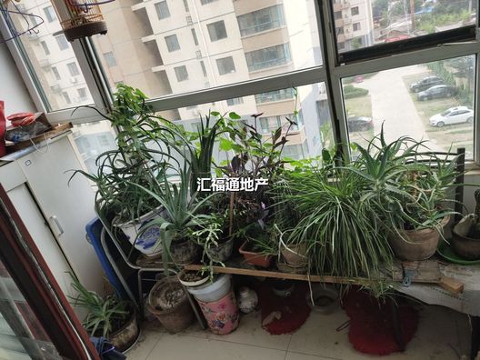 涿州清凉寺东方丽景(金领郡)2室1厅房源信息第7张图片