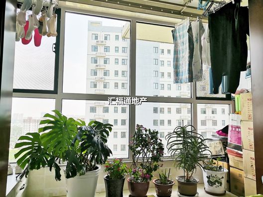 涿州市开发区联合七号院2室2厅房源信息第7张图片