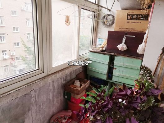 涿州松林店凌云厂家属院2室1厅房源信息第7张图片