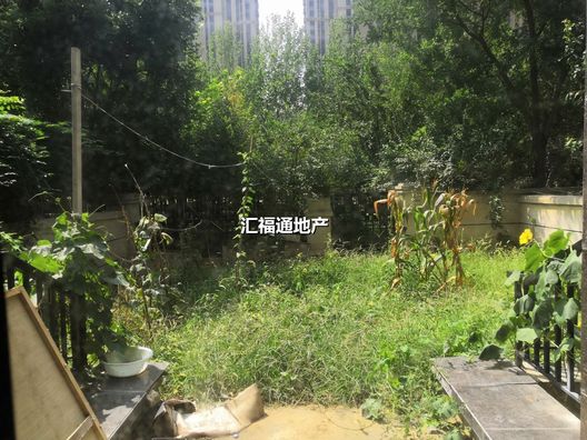 涿州鸿坤理想湾（别墅）5室3厅房源信息第3张图片