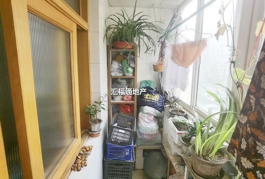 凌云厂家属院2室1厅1卫第6张缩略图