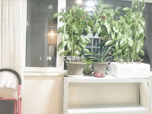 涿州双塔区香港豪庭3室2厅房源信息第11张图片
