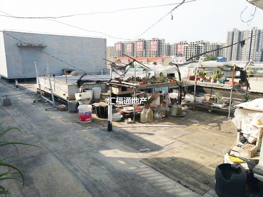 涿州清凉寺和谐佳居3室2厅房源信息第10张图片