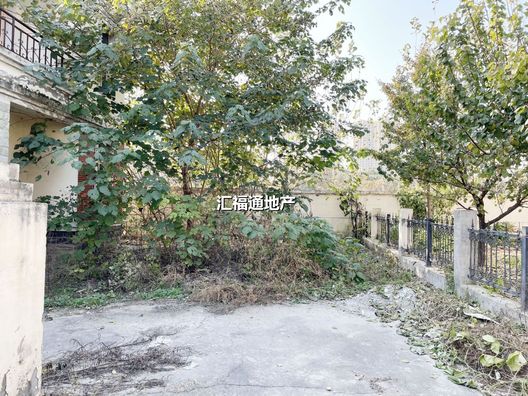 温莎别墅5室3厅4卫第9张缩略图