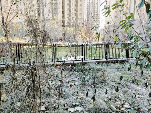 高铁新干线3室2厅1卫第10张缩略图