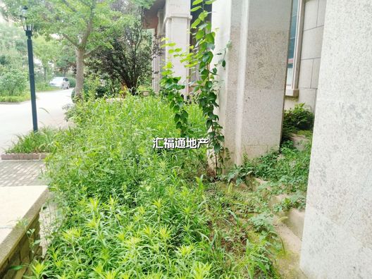 涿州城西区西京都高尔夫别墅4室2厅房源信息第22张图片