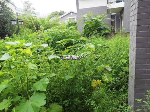 涿州开发区竹语堂4室3厅房源信息第27张图片