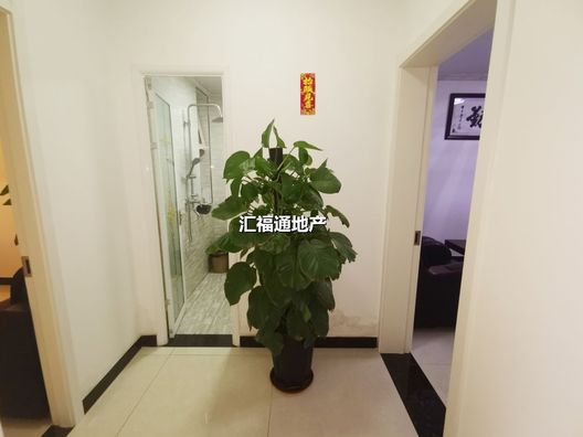 惠友钻石广场2室2厅1卫第7张缩略图