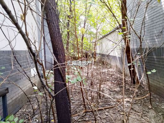 西京都高尔夫别墅5室2厅4卫第21张缩略图
