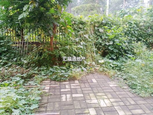 涿州码头新区温莎别墅4室2厅房源信息第13张图片