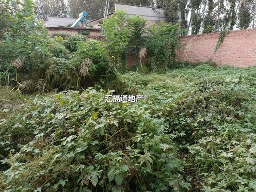 涿州白塔村商铺底商0室0厅房源信息第5张图片