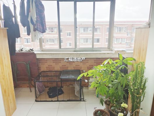 涿州开发区东兴小区（西院）3室2厅房源信息第10张图片