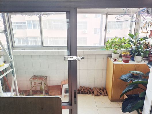 槐林新村3室2厅1卫第8张缩略图
