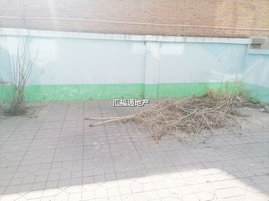 文保所小区3室2厅1卫第12张缩略图