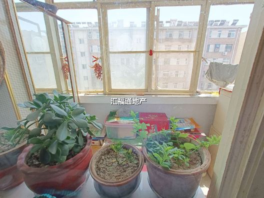 涿州开发区三五四三社区居民委员会2室1厅房源信息第5张图片