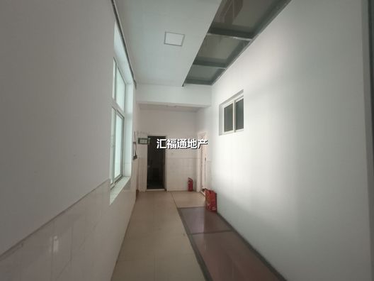 槐林街商铺底商9室4厅4卫第13张缩略图