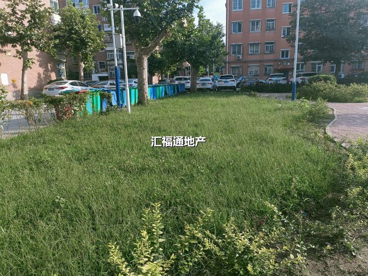 楼盘图
