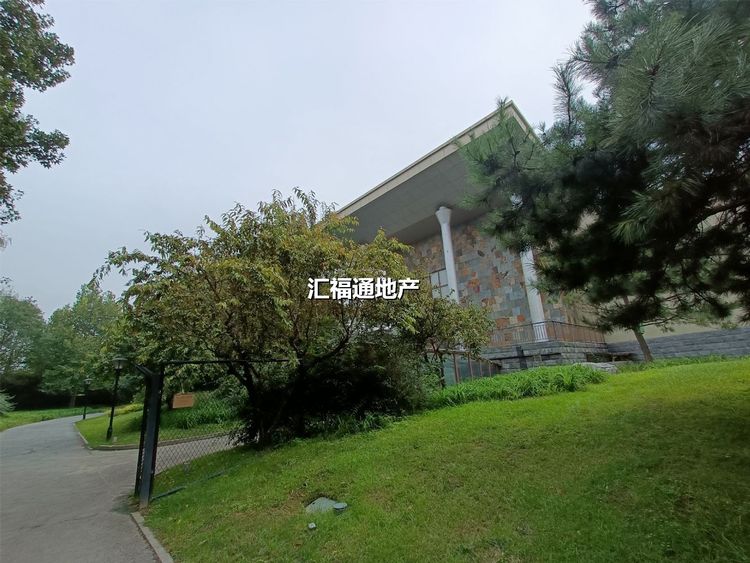 楼盘图
