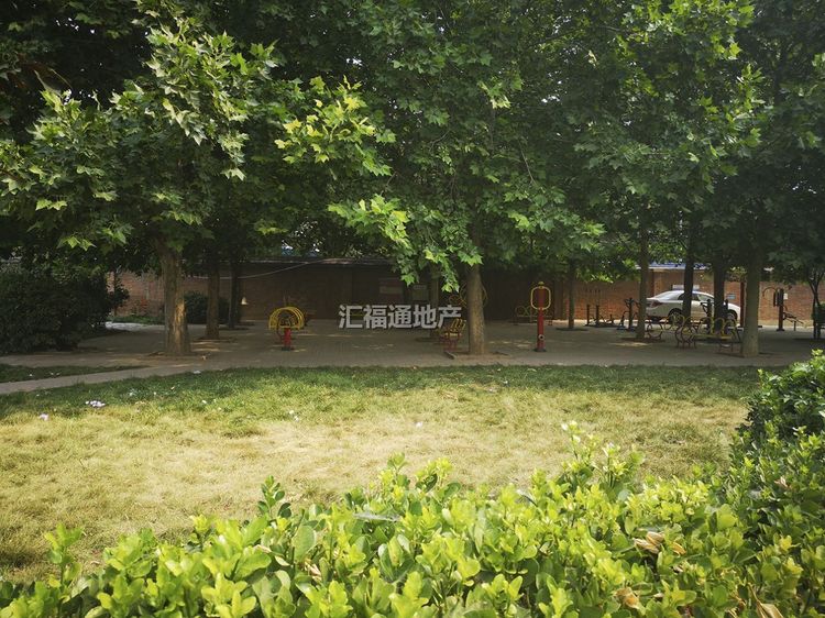 楼盘图