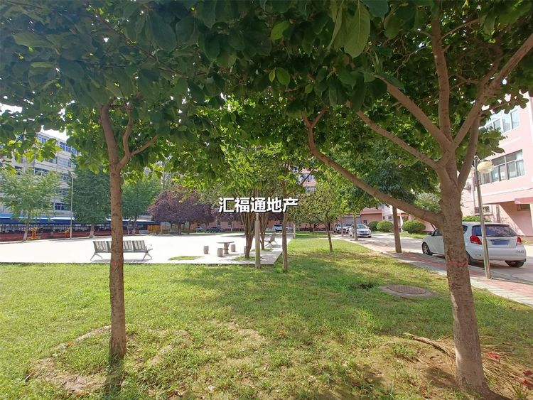 楼盘图
