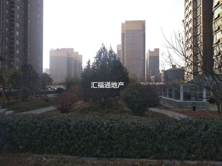楼盘图