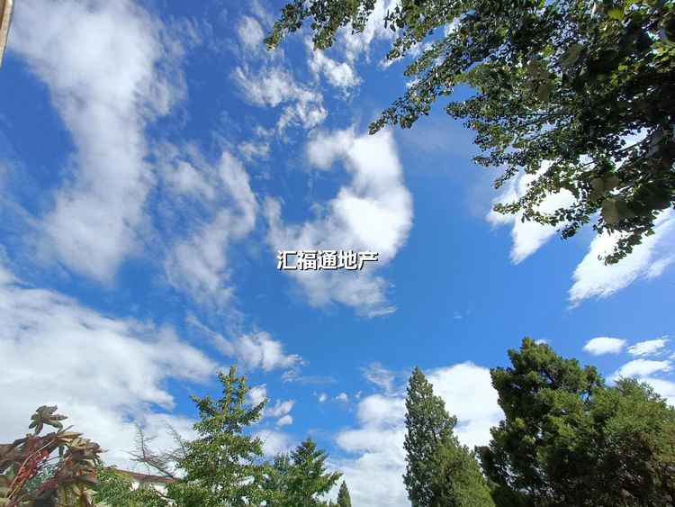 楼盘图