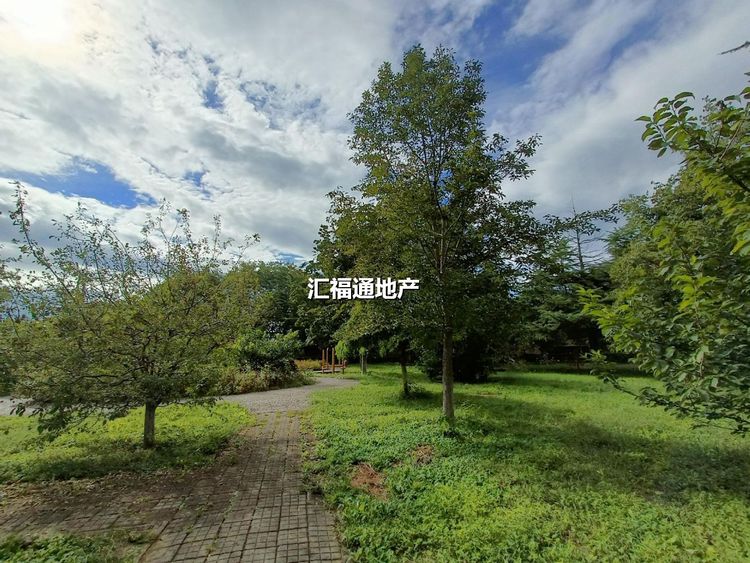 楼盘图
