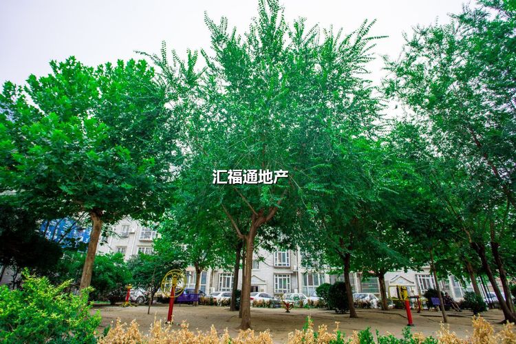 楼盘图