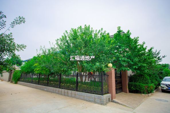 楼盘图