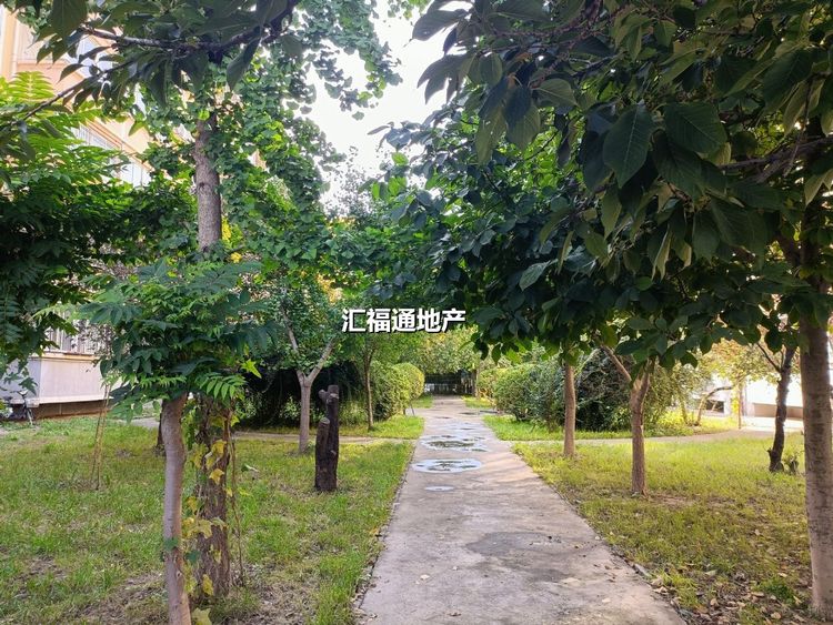 楼盘图