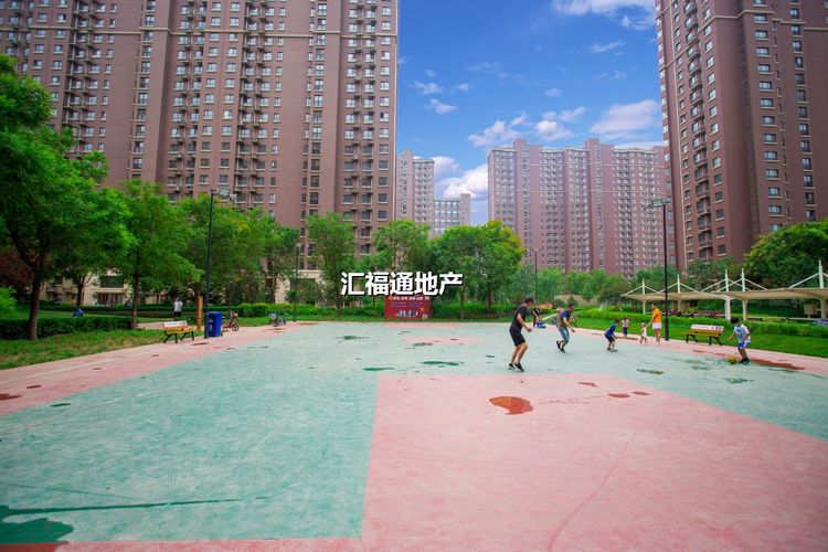 楼盘图