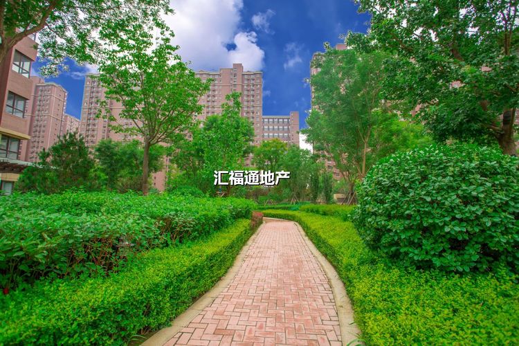 楼盘图