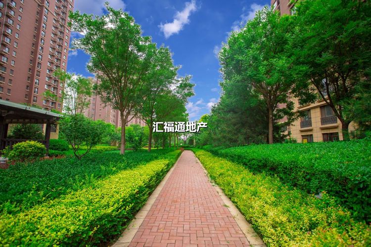 楼盘图