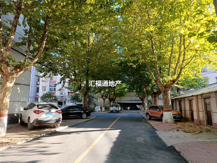 楼盘图