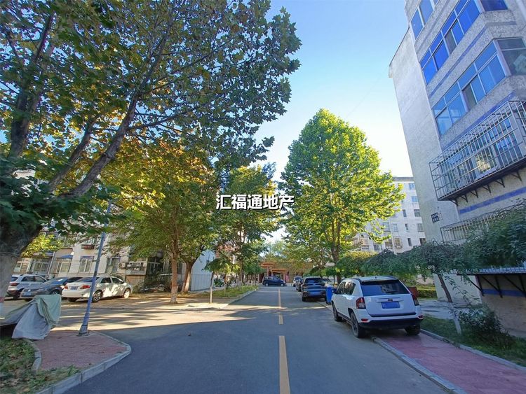 楼盘图