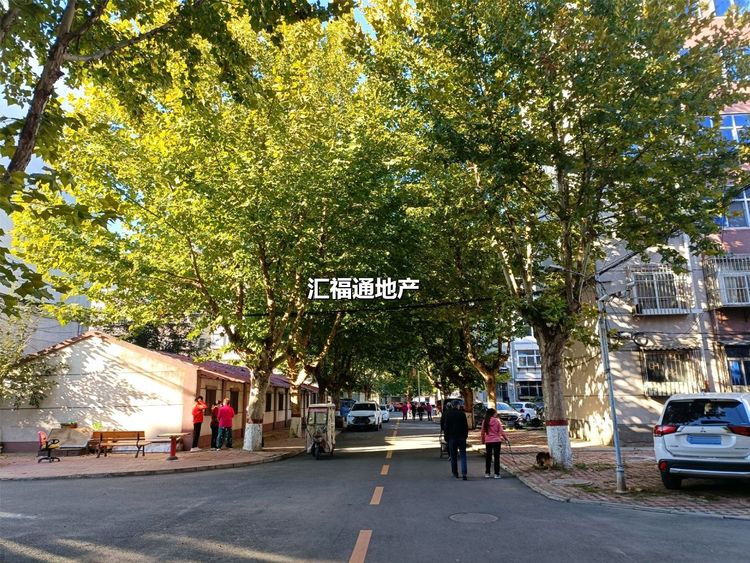 楼盘图