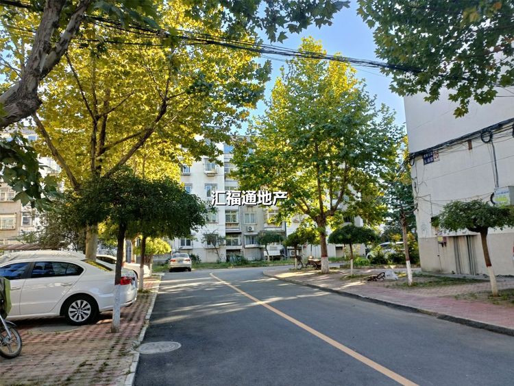 楼盘图