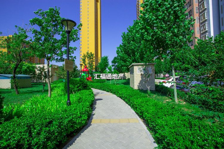 DF5A4215