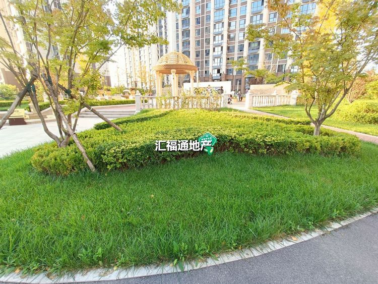 楼盘图
