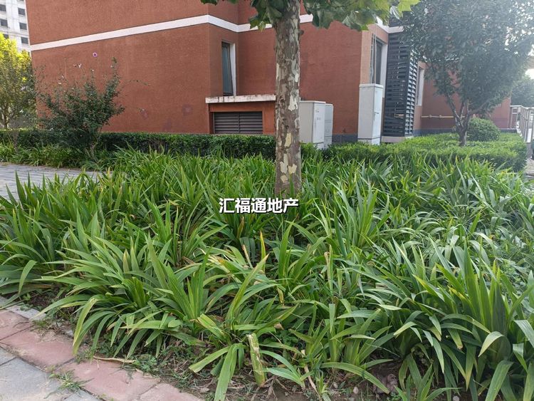 楼盘图