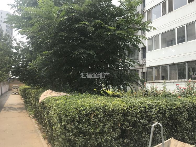 楼盘图